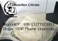 CAS 54965-24-1 สเตียรอยด์เสริมสมรรถภาพชาย Tamoxifen Citrate Tamofen Nolva