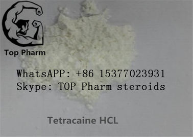 99% ความบริสุทธิ์ Tetracaine Hydrochloride / Tetracaine HCL / Butethanol / Butylocaine ยาชาเฉพาะที่ CAS 136-47-0