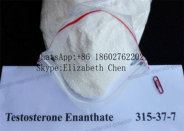 Muscle Gain Powder Testosterone Enanthate CAS 315-37-7 ผงสีขาวบริสุทธิ์ 99%