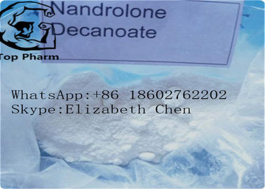 CAS 360-70-3 Nandrolone Decanoate สร้างกล้ามเนื้อ 4-Estren-17beta-Ol-3-One Decanoate White Powder ความบริสุทธิ์ 99%