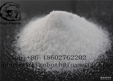 Procaine Hydrochloride CAS 51-05-8 Aminocaine 99% ความบริสุทธิ์ White Crystalline Powder ยาชาเฉพาะที่เพาะกาย